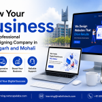Grow Your Business with a Professional Web Designing Company in Chandigarh and Mohali