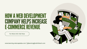 How a Web Development Company Helps Increase E-commerce Revenue